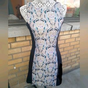 Jack Bodycon Pannel Dress